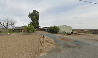 Bob's Gun Shop - Store photo