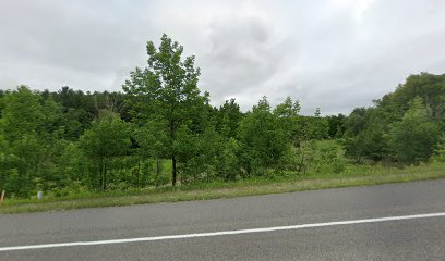 Modern Day Outfitters - Store photo