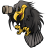 Battlehawk Armory