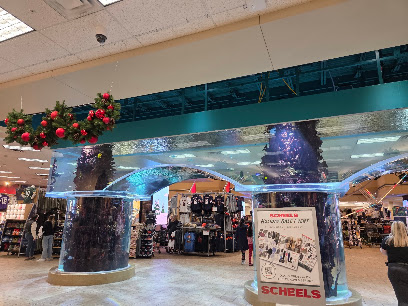 Scheels - Store photo