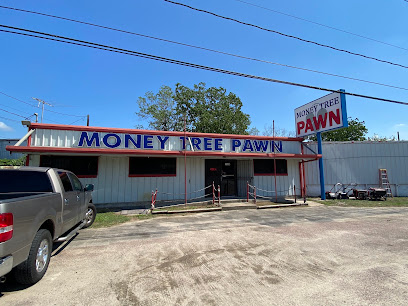 Money Tree Pawn - Store photo