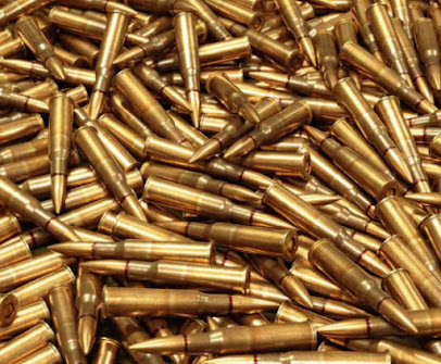 Guns & Ammo Shop - Store photo
