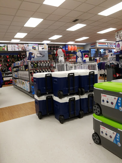 Big 5 Sporting Goods - Store photo