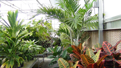 Winandy Greenhouse Co Inc - Store photo