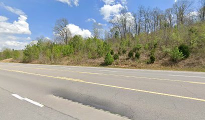 Borens Auctions & Realty - Store photo
