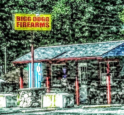 Bigg Dogg Firearms - Store photo