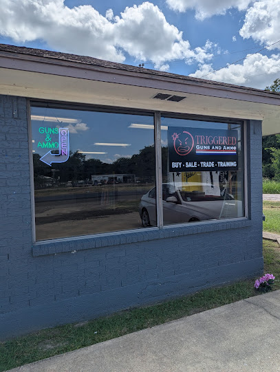Triggered Guns and Ammo LLC - Store photo