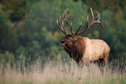 Rocky Mountain Elk Foundation - Store photo
