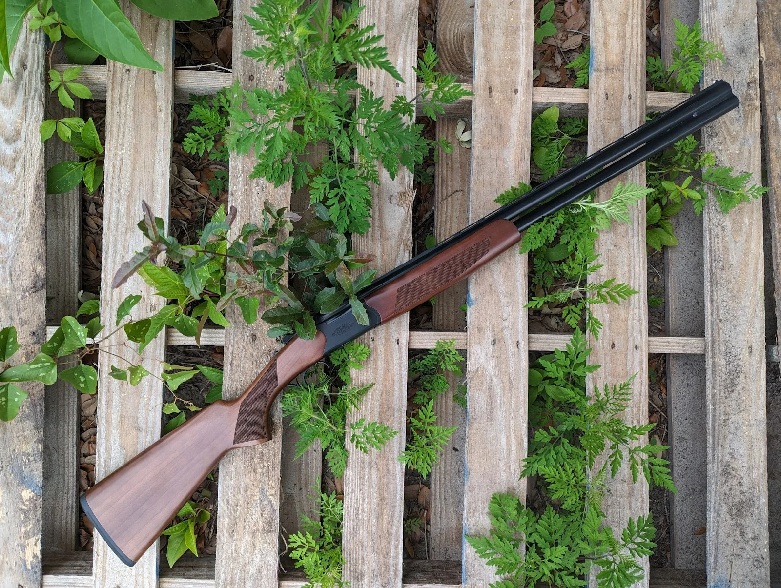 Cz drake review