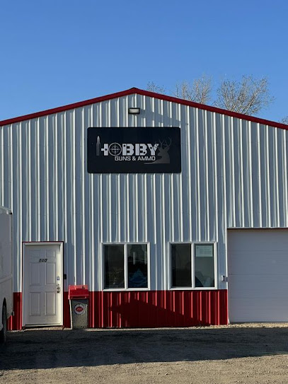 Hobby Guns and Ammo - Store photo