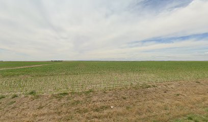 Prairie Sky Firearms - Store photo