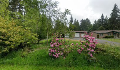 The Homesteader Arms and Ammunition - Store photo