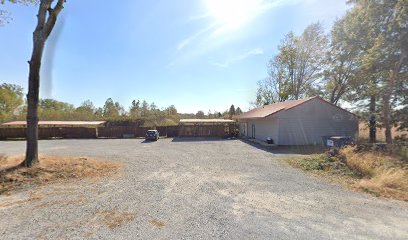 Newman's Gun Club - Store photo