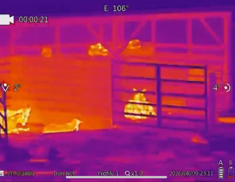 Cattle in a pen at night in the Iron hot palette on the Goyojo GRS225RF