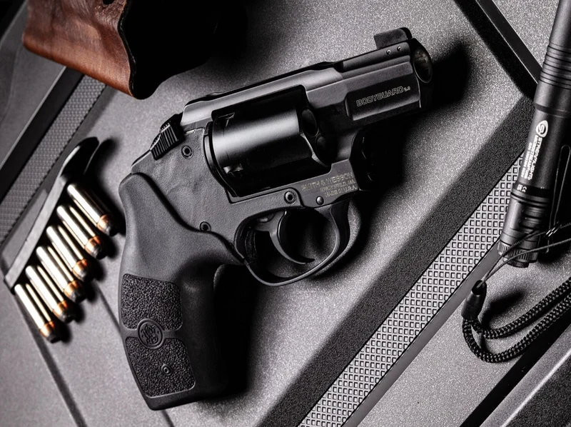 smith & wesson bodyguard 2.0