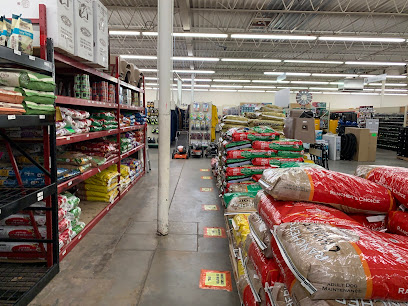 Gebo's - Store photo