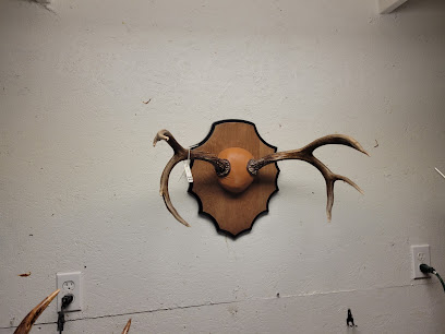 Grove's Firearms LLC - Store photo
