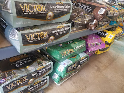 Archer Feed, Firearms & More - Store photo