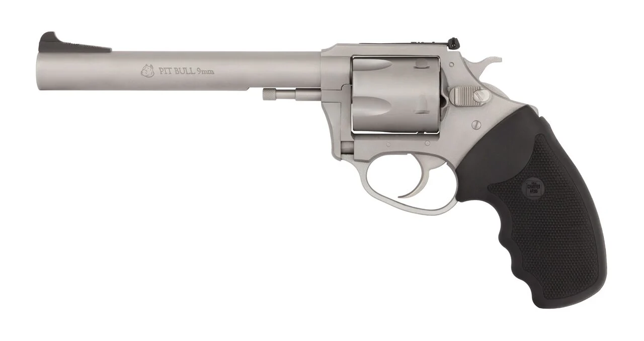 Charter Arms Pitbull