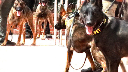 American K-9 Interdiction - Store photo
