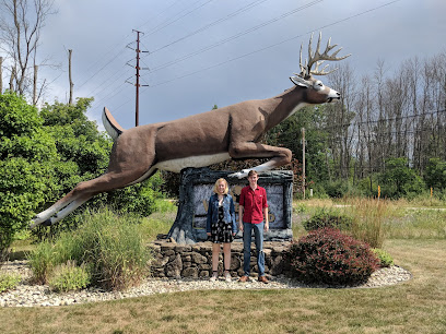 Whitetails Unlimited - Store photo