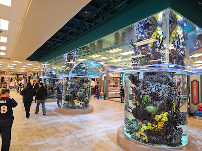 Scheels - Store photo