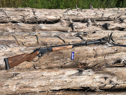 Paige Gunsmithing - Store photo