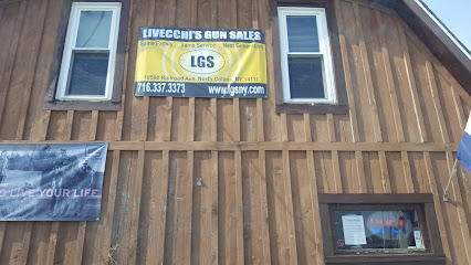 Livecchi's Gun Sales - Store photo
