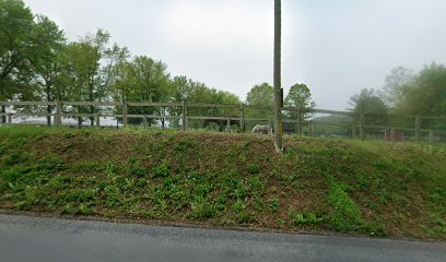 Steelville Arms - Store photo