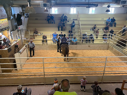 Phillips & Sons Leavenworth Livestock Auction - Store photo