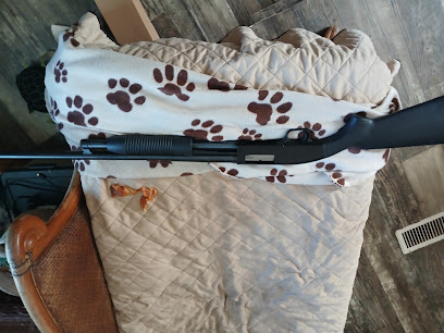 Accurate Gun Auctions - Store photo