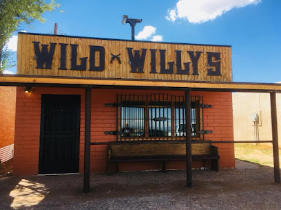 Wild Willy's Guns N Ammo, LLC - Store photo