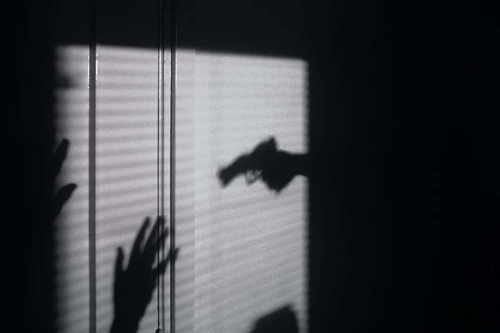 shadow of home robbery