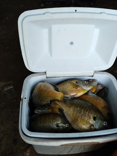 Oxbow Bait & Archery Supplies - Store photo