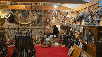Bob's Gun Shop - Store photo