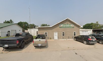 Northwest Arms & Services - Store photo
