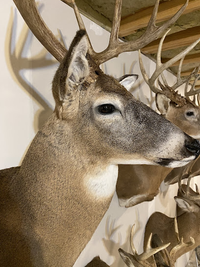 Brooke's Taxidermy - Store photo