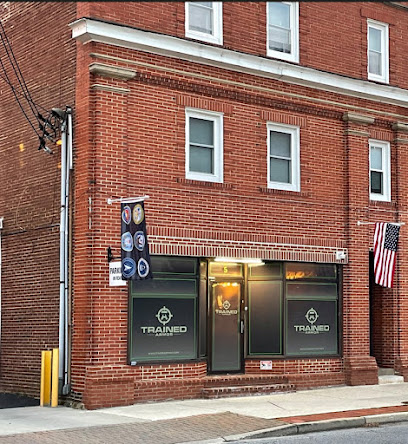 Trained Armor - Store photo