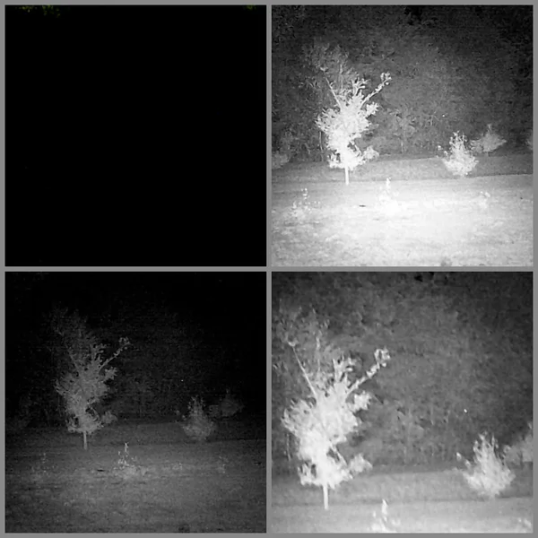 Shadow 37 night vision binoculars testing 2 night time trees