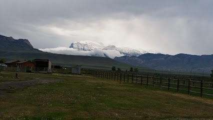 Absaroka Saddle & Rifle Co - Store photo