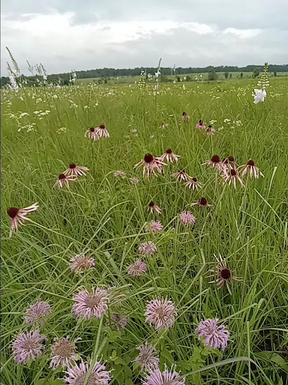 Missouri Department of Conservation - Store photo