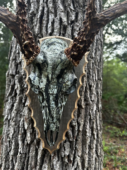 Swamp Lion Hydrographics - Store photo