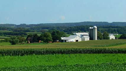 Menke Auction & Realty - Store photo