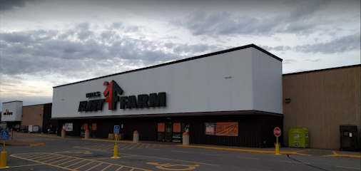 Fleet Farm - Store photo
