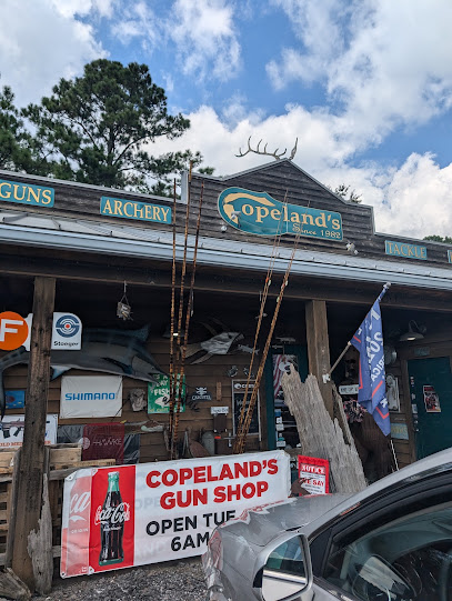 Copeland's Gun Bait And Tackle Shop - Store photo