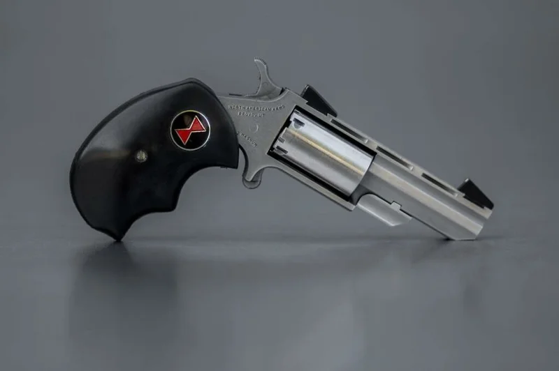 Black Widow in 22LR