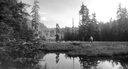 Loomacres Wildlife Management - Store photo