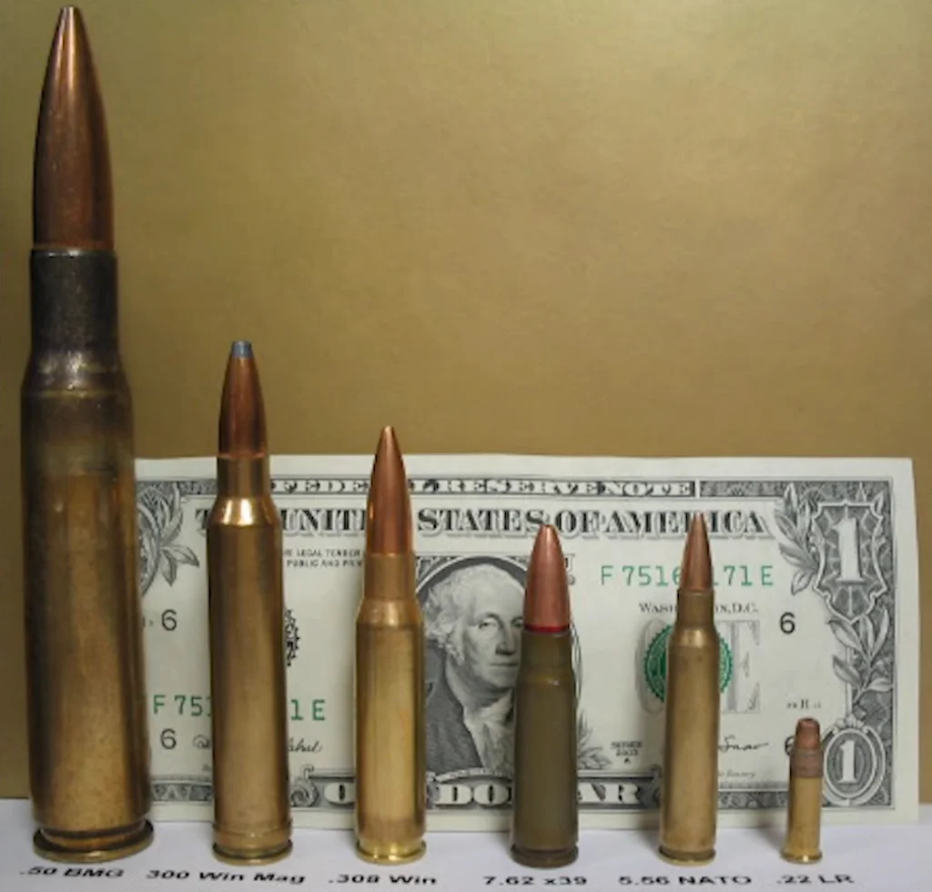 Intro to Gun Calibers (2)