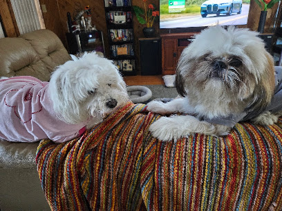 Mugsy's Place, LLC - Store photo