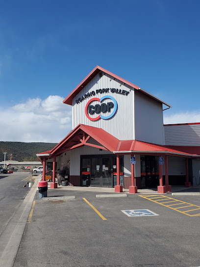 Roaring Fork Valley Coop - Store photo